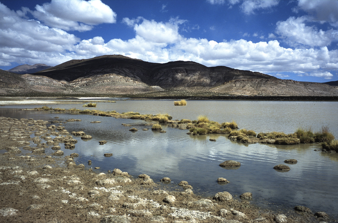 chi_2_22 laguna isluga.jpg - Cordillère Nord Isluga la laguna Isluga (partie asséchée)